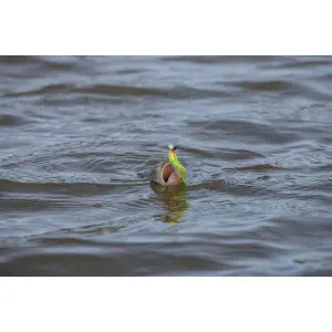 Micro jigs Fox Rage 2g x 5 image-1