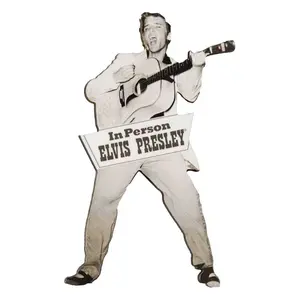 Magnet NMR Elvis: Tupelo Funky Chunky image-0