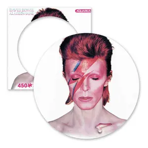 450-piece puzzle NMR David Bowie: Aladdin Sane image-0