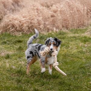 Cuerda para perro mezcla de sisal y algodón Nobby Pet Doppelt image-1