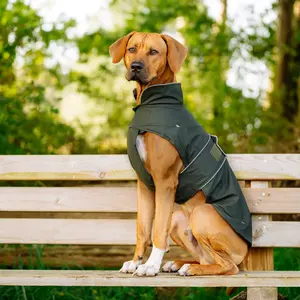 Cappottino per cani Nobby Pet Sela image-2