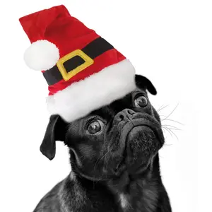 Hoed Nobby Pet Xmas Santa image-1