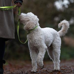 Hundeleine Nobby Pet Full Reflect image-2