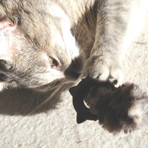 Knuffel voor katten Nobby Pet Spielzeug -ring image-1