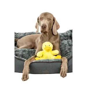 Παιχνίδι για σκύλους Nobby Pet Daggi image-1