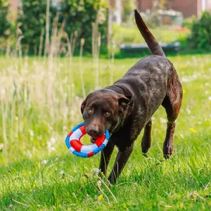 Παιχνίδι από γούνα για σκύλους Nobby Pet Rettungsring Mit Seil Floating image-1