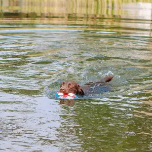 Παιχνίδι από γούνα για σκύλους Nobby Pet Rettungsring Mit Seil Floating image-4