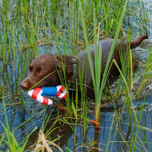 Παιχνίδι από γούνα για σκύλους Nobby Pet Anker Floating Mit Seil image-3