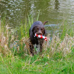 Παιχνίδι από γούνα για σκύλους Nobby Pet Anker Floating Mit Seil image-4