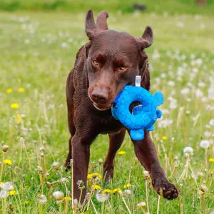 Παιχνίδι για σκύλους Nobby Pet Biber Floating image-2