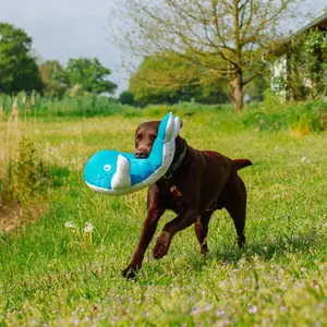 Παιχνίδι για σκύλους Nobby Pet Floating image-3