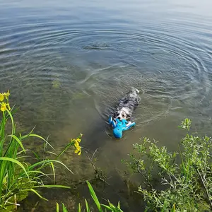 Παιχνίδι για σκύλους Nobby Pet Oktopus Floating image-1