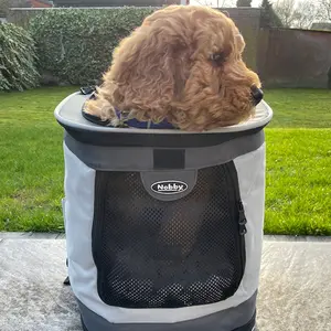 Hundetragetasche Nobby Pet Plata image-1