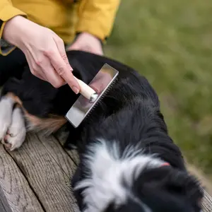 Βούρτσα για σκύλο Nobby Pet Nature Line Rupf image-1