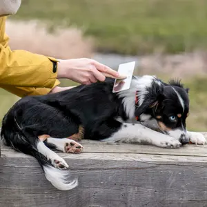 Βούρτσα για σκύλο Nobby Pet Nature Line Rupf image-2