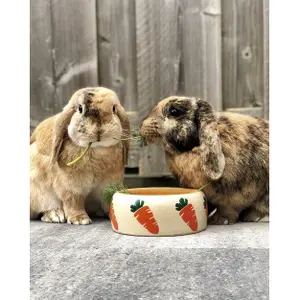 Keramisch knaagdiervoeder Nobby Pet Carrot image-1