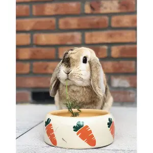 Keramisch knaagdiervoeder Nobby Pet Carrot image-2