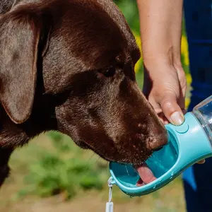 Μπουκάλι για σκύλους Nobby Pet image-2