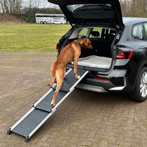 Rampa dla psów Nobby Pet image-4