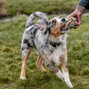 Μπάλα παιχνιδιού για σκύλους με σχοινιά Nobby Pet image-1