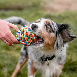Μπάλα παιχνιδιού για σκύλους με σχοινιά Nobby Pet image-2