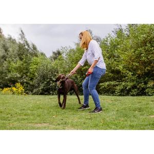 79346-jouet-pour-chien-cordes-de-jeu-nobby-pet-bunt-tu