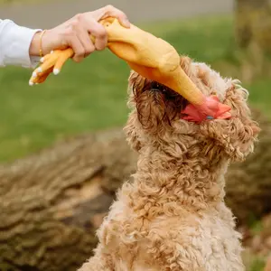 Παιχνίδι για σκύλους φιγούρα από λάτεξ Nobby Pet Hähnchen image-1