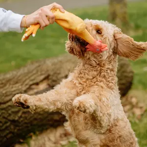 Gioco per cani Nobby Pet Hähnchen image-1