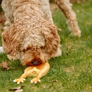 Gioco per cani Nobby Pet Hähnchen image-3