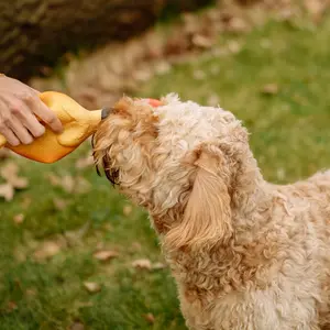 Gioco per cani Nobby Pet Hähnchen image-4