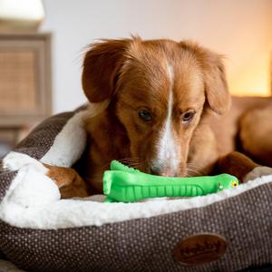 Hundespielzeug Figur aus Latex Nobby Pet Lulatsch Krokodil image-0