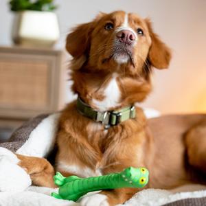 Hundespielzeug Figur aus Latex Nobby Pet Lulatsch Krokodil image-1