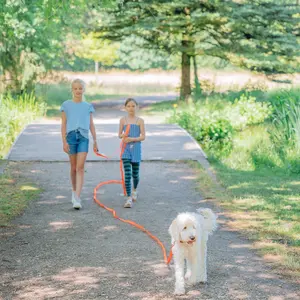 Αντιολισθητικό λουρί για σκύλους Nobby Pet Cover image-1