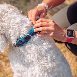 Hundebånd med indsats Nobby Pet Variado image-1