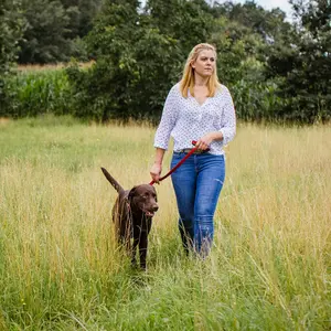 Hundeleine Nobby Pet Classic Preno Royal image-1