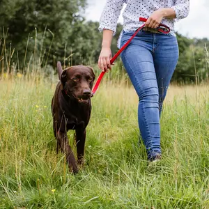 Hundeleine Nobby Pet Classic Preno Royal image-2