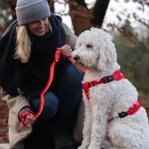Λουρί για σκύλους Nobby Pet Flash Mesh image-3