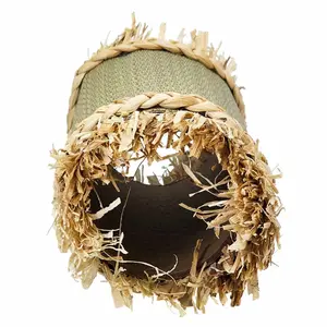 Tunel do zabawy dla psa Nobby Pet image-1