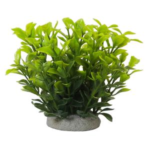 Aquarium decoration Nobby Pet Ludwigia Green