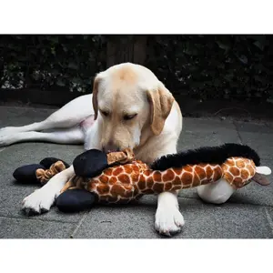 Elastic girage dog plush Nobby Pet image-1