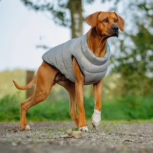 Manteau pour chien Nobby Pet Light image-1