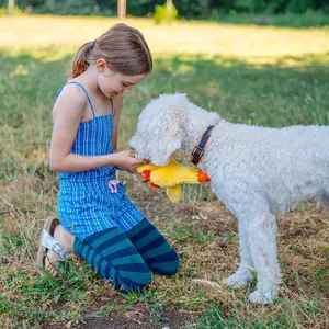 Pluszowe zabawki dla psów Nobby Pet image-1