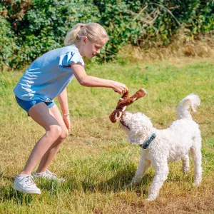 Lazy dog gosedjur med rep Nobby Pet image-1