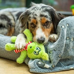 Hundespielzeug aus Plüsch Nobby Pet Grinch image-2