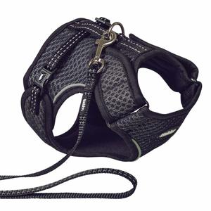 53056-05-cat-harness-and-lead-nobby-pet-flap-black-one-size