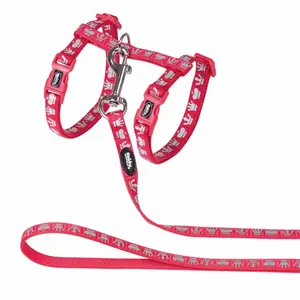 Szelki i smycz dla kota Nobby Pet Royale image-0