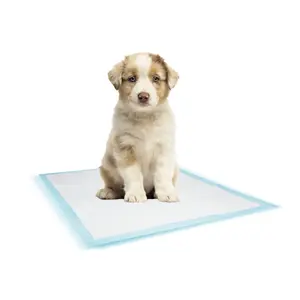 Esterilla de adiestramiento para perros Nobby Pet (x50) image-0