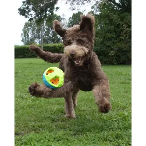 Bola dispensadora de snacks en tpr para perros Nobby Pet image-1