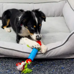 Zestawy zabawek Tpr dla psów Nobby Pet Puppy image-1