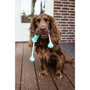 Dog toy stick with rubber cord Nobby Pet Dental Line image-1